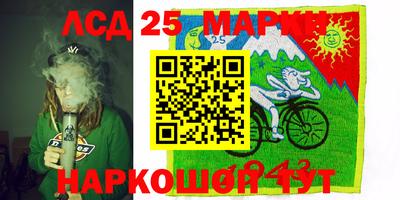Альфа ПВП Ачхой-Мартан