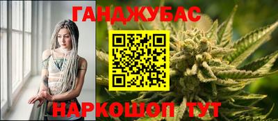 крисы Аша
