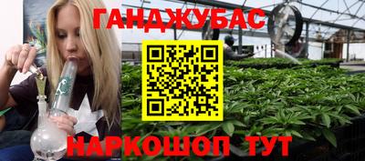 Альфа ПВП Ачхой-Мартан