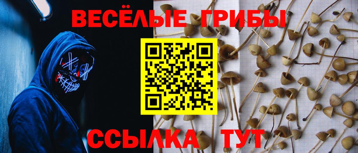 Галлюциногенные грибы Magic Shrooms Магадан